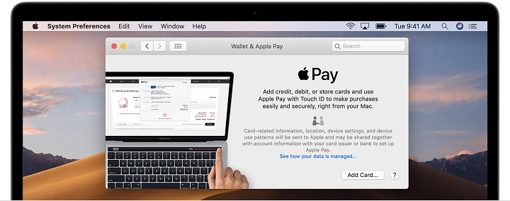 Apple Pay on Your Mac 