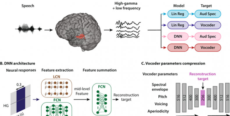 Gadget that Translates Thoughts into Speech