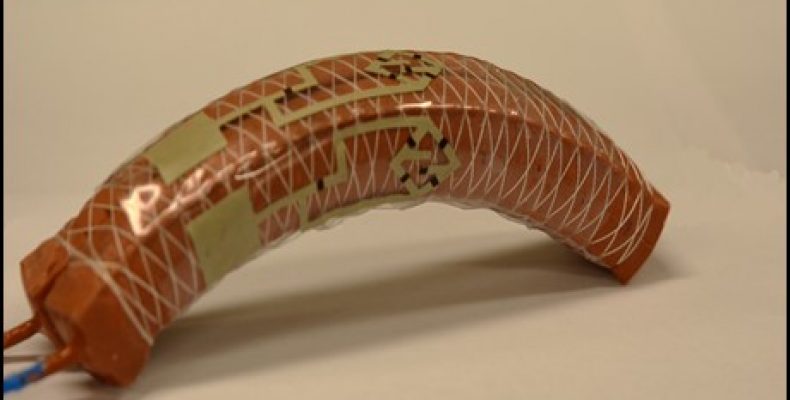 Soft Robot: With Stretchable Transistor Enables Neurological Functioning