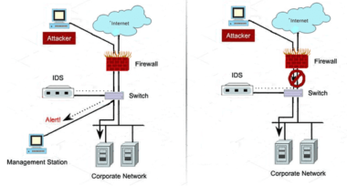 How to Choose the Right Firewall for Your Network